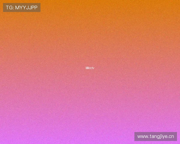 聚焦cctv 聚焦cctv